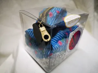 Conjunto Pulsera Monedero y Coletero