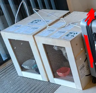 Transportines de Madera para Mascotas