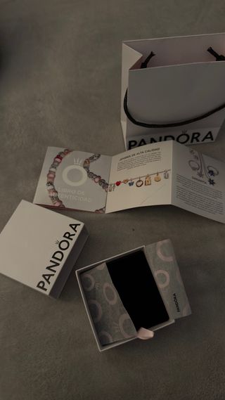 Pandora Caja y Bolsa