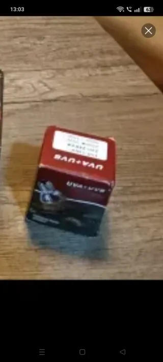 Terrario para tortugas