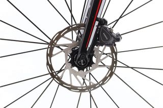 Promo · Focus Cayo Di2 11V (carretera) t.50 Reacondicionada