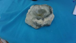 Ceniceros variados leer medidas de 3 a 5 euros