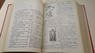 DICCIONARIO GRIEGO ESPAÑOL