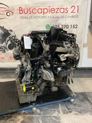Motor Mercedes Sprinter (651958)