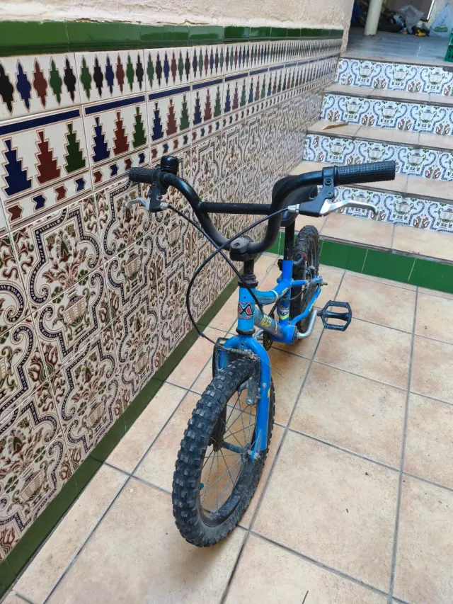 Bici infantil Monty 103