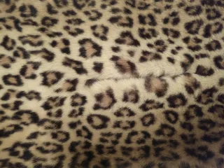 Cuello animal print