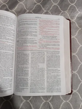 Biblia de estudio Dake.