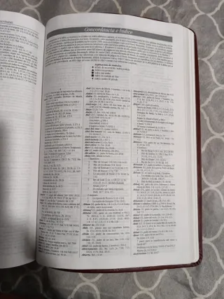 Biblia de estudio Dake.