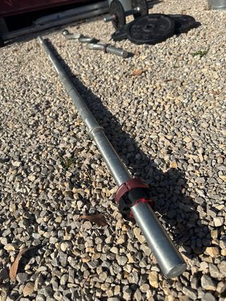 Barra de gimnasio y discos