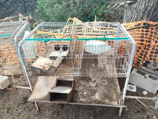 Jaulas para conejos y para gallos