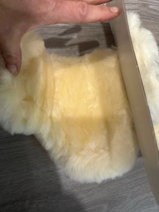 Protecciones Salto Acavallo Borrego