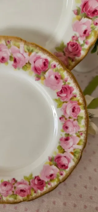 Coppia Piatti Royal Doulton Rose