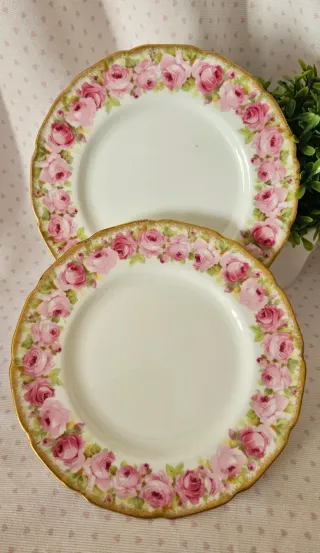 Coppia Piatti Royal Doulton Rose