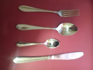 Set di posate 12 servizi + 9 cucchiaini