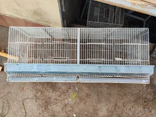 Jaulas 1 metro con comederos metal