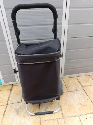 Carro de la compra plegable