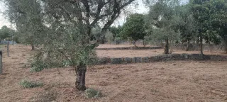 Terreno pa construção