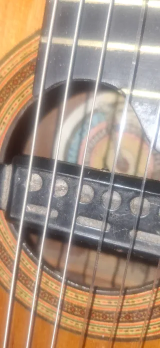 Guitarra blandurrias de palo rosa maziza