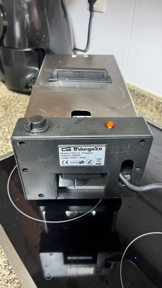 Orbegozo Freidora FDR-31