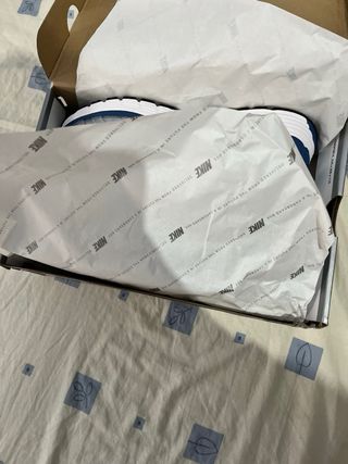 Zapatillas Nike P6000 Plata y Azul