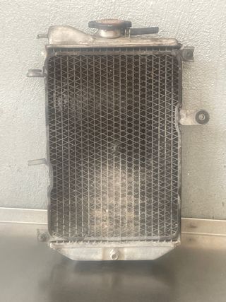 Radiador Suzuki Burgman 650 (2004)