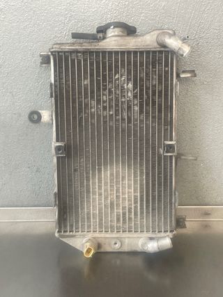 Radiador Suzuki Burgman 650 (2004)