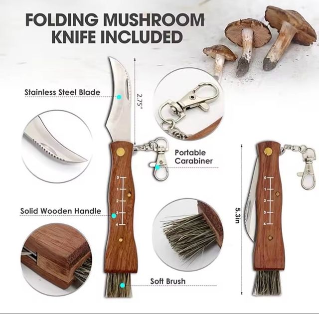 Coltello Pieghevole Micologia Bushcraft EDC NUOVO