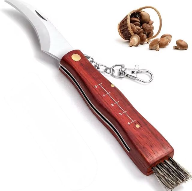 Coltello Pieghevole Micologia Bushcraft EDC NUOVO