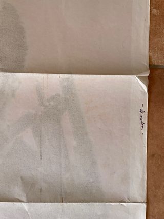 Póster Original Película Cobra Sylvester Stallone