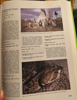 FELIX RODRIGUEZ DE LA FUENTE