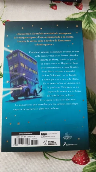 Harry Potter y el prisionero de Azkaban (Harry ...