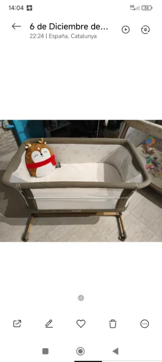 Moisés colecho Jané