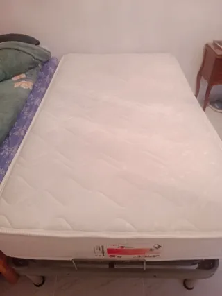 Cama Articulada