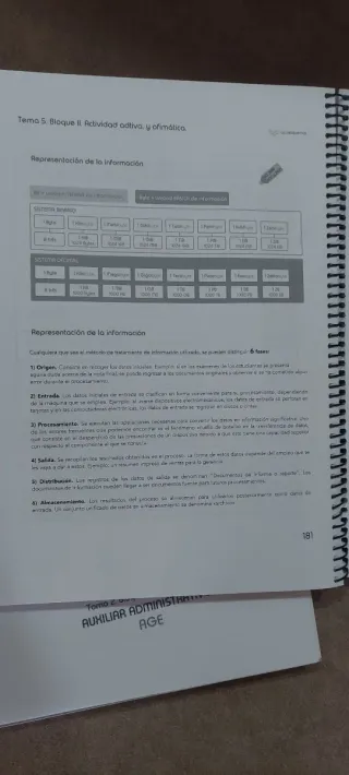 Auxiliar administrativo del estado