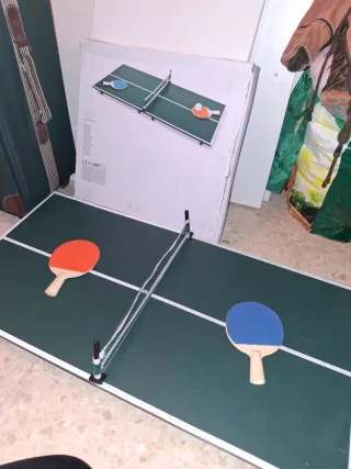 Mesa de ping pong plegable