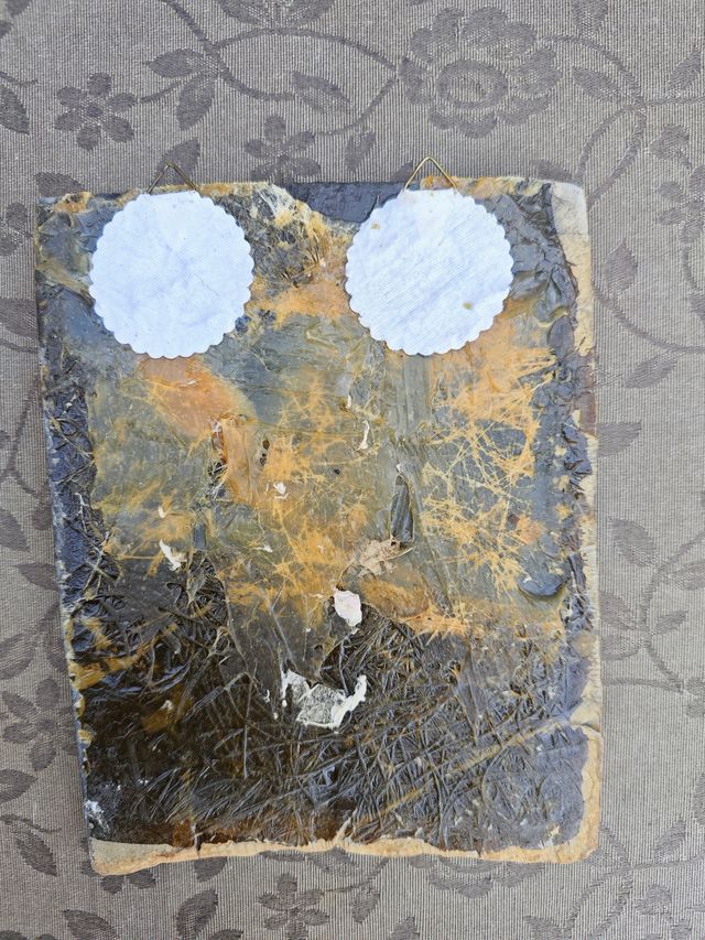 Placa Fósil Tritón y Pez Auténtica