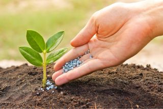 Jardinero en Barcelona  - Jardinería
