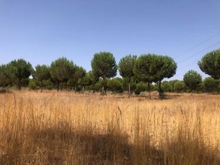 Finca 22 hectáreas ganadera y recreo