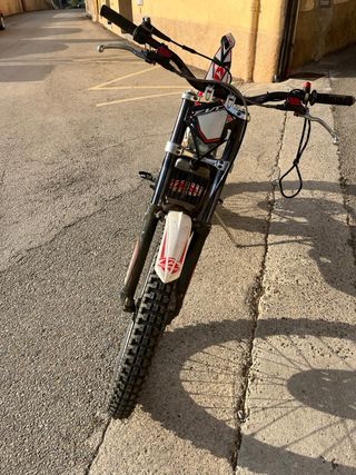 Beta Evo300 Trial Moto 2015