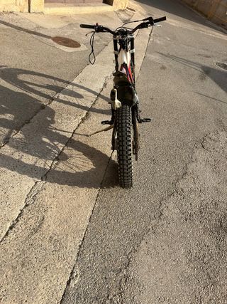 Beta Evo300 Trial Moto 2015