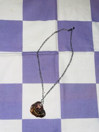 Collar Acero Inoxidable Concha Natural