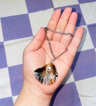 Collar Acero Inoxidable Concha Natural