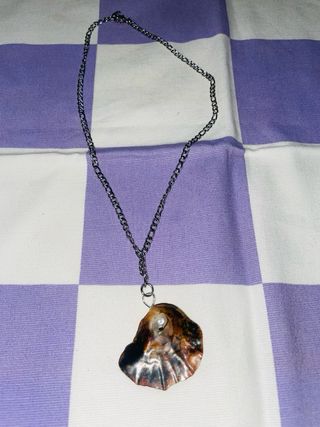 Collar Acero Inoxidable Concha Natural