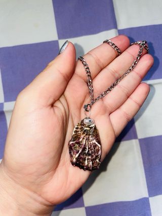 Collar Acero Inoxidable Concha Natural Morada