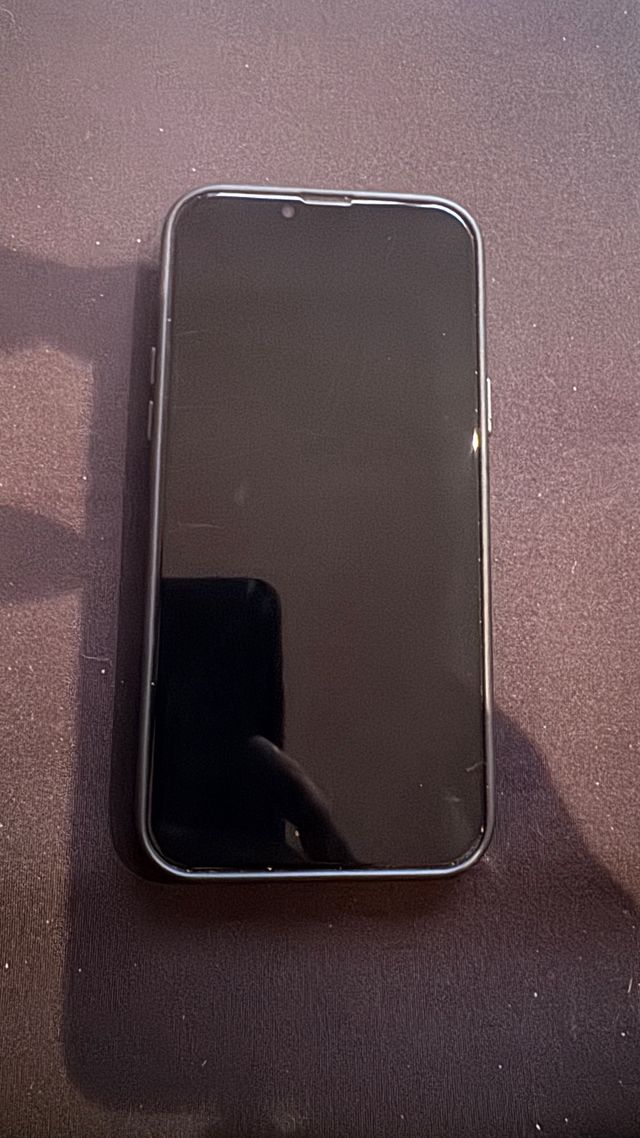 iPhone 13 Pro Max 256GB Gris
