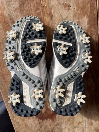 Zapatos de Golf Adidas Boa Bounce