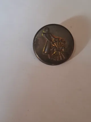 Emblema Auxilio Social