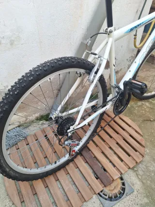 Bicicleta de montañ a blanca