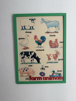 Cuadros y posters educativos de ingles.