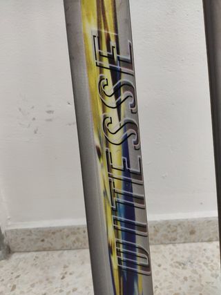 Esquís Fischer Plasma Edge con fijaciones y baston